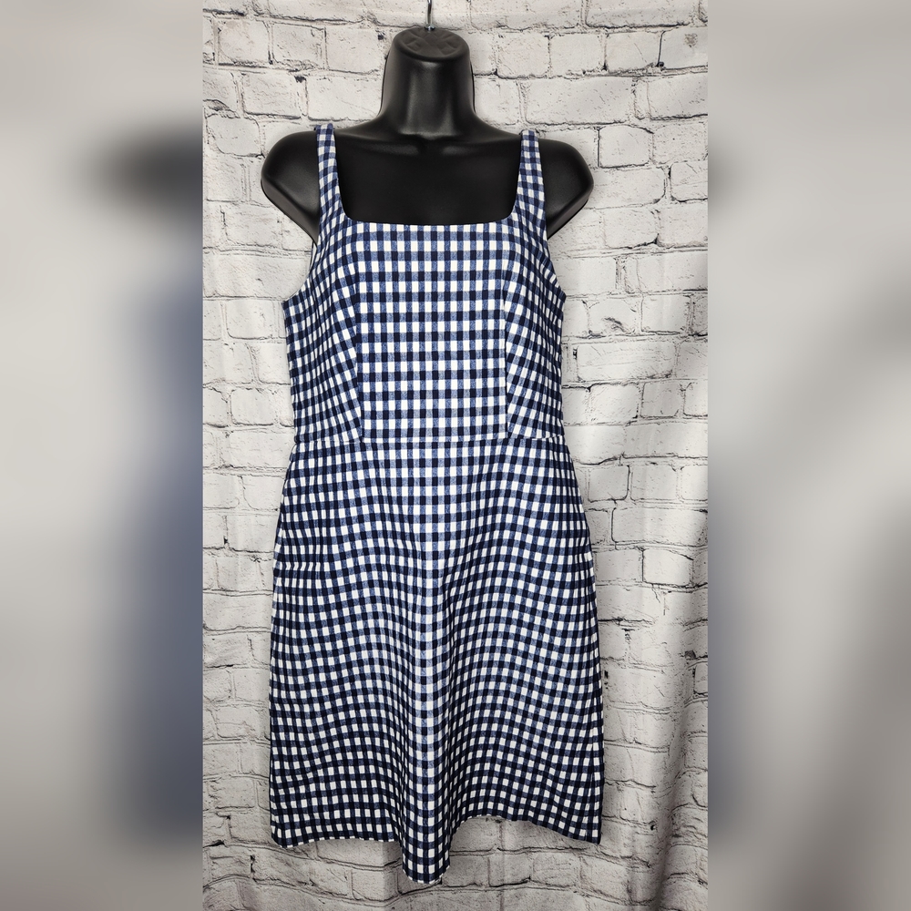 J. Crew Blue and White Checkered Mini Dress